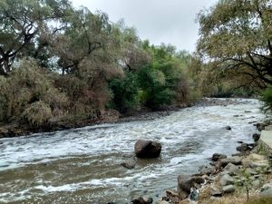 El colectivo por la defensa de la vida en la región Tolteca está preocupada por la contaminación del Rio Tula