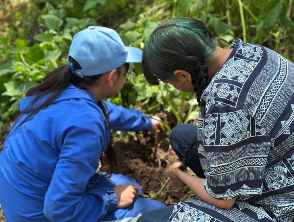 Infancias y adolescencias reforestan en Mineral del Monte, Hgo.