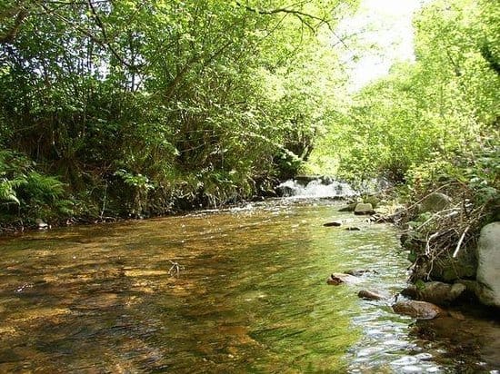 La comunidad de Chahuaco, en el municipio de Tianguistengo, Hidalgo, manifiesta su preocupación e inconformidad por la contaminación de su río.