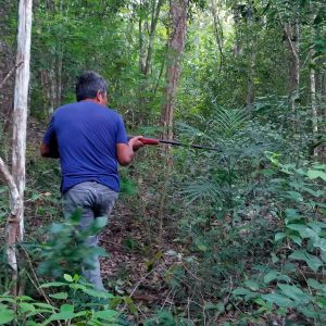 Denuncian cacería ilegal en Huayacocotla