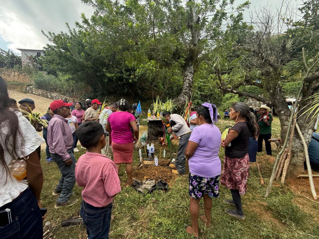 La comunidad de Cerro Gordo, en el municipio de Texcatepec, realizó su ofrenda del elote