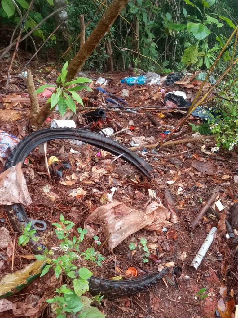 Tiraderos clandestinos, un problema que persiste en Huayacocotla
